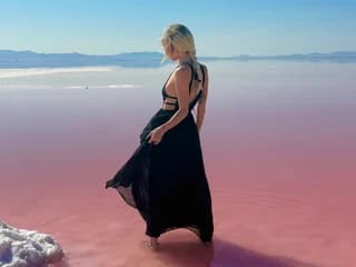 WebCAM de theselenarainx